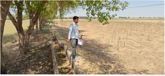 PMDDKY: Pradhan Mantri Dhan-Dhaanya Krishi Yojana – Importance in Jaisalmer